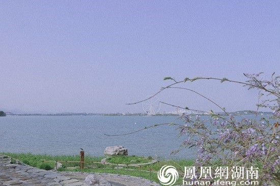 岛上一片盎然景象