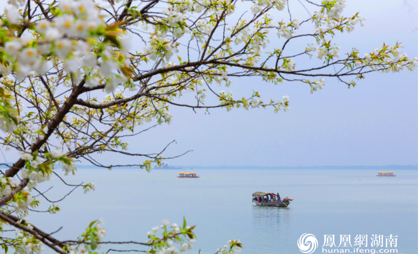 春回柳湖 宋才华摄