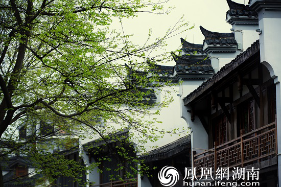 常德大小河街春色 曾敏摄