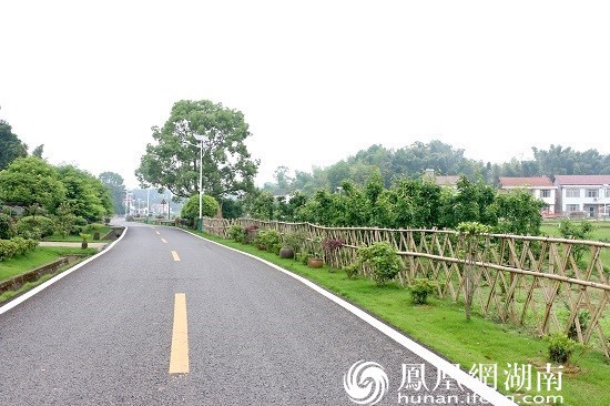 平展整洁的村道