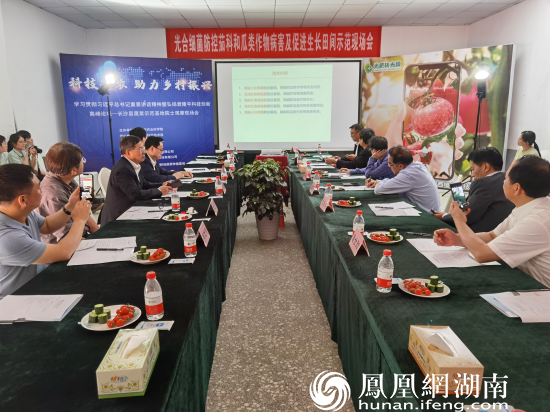 专家、院士正在原耕地蔬菜种植基地进行技术交流。 谢佳唯 摄