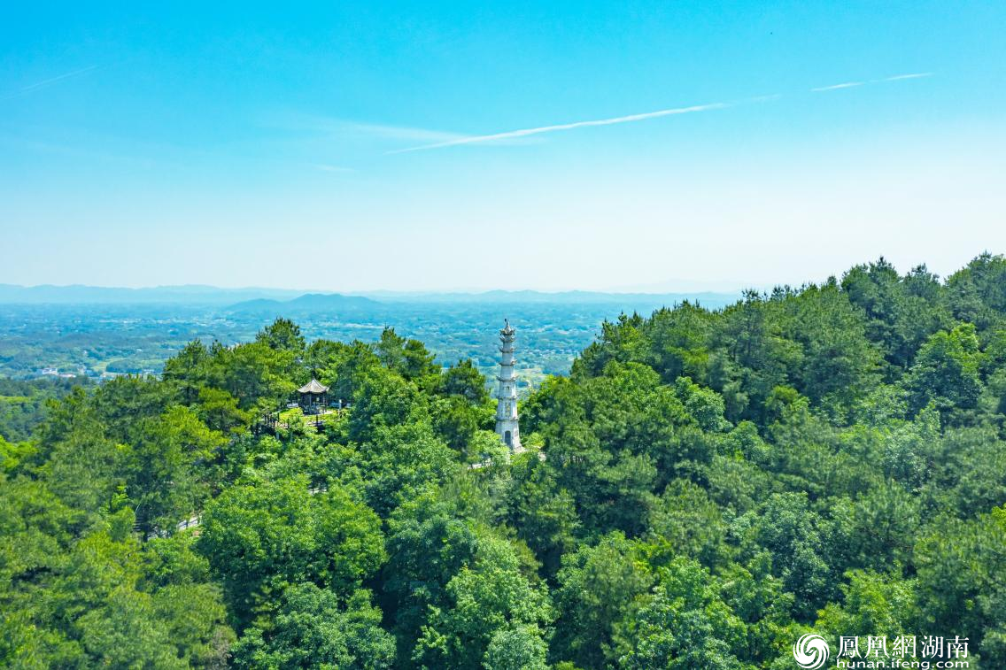 天华山山腰万年松广场。供图