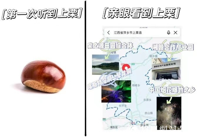 上栗