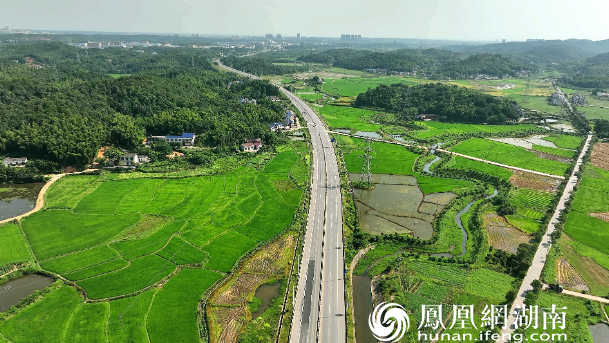金唐公路