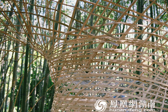 湖南首个以森林为主题的大地艺术节落户莽山