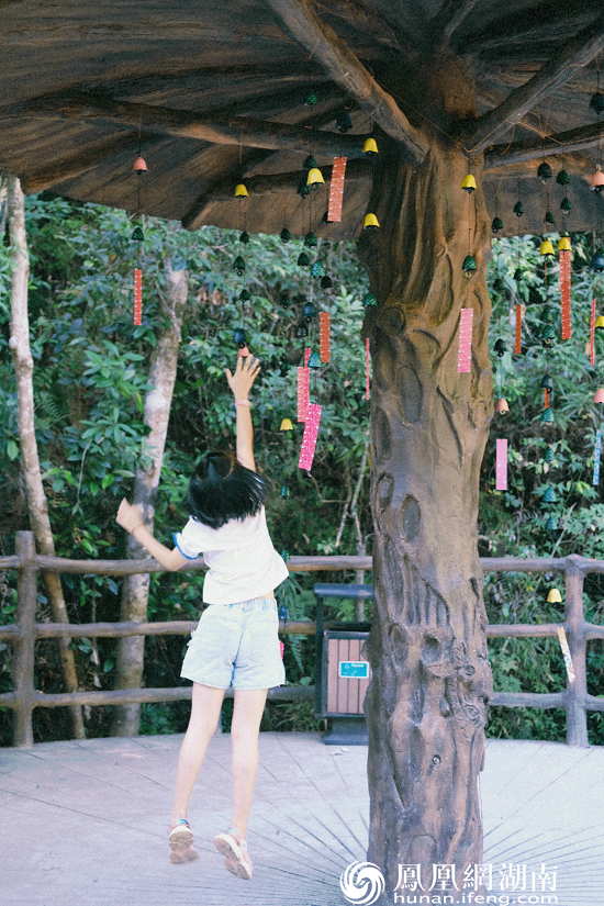 湖南首个以森林为主题的大地艺术节落户莽山