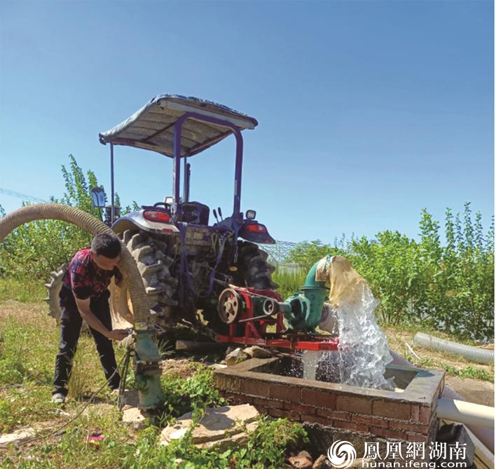 长沙县春华镇农户安装抽水机灌溉田地,应对持续高温干旱天气。熊冰俏 摄