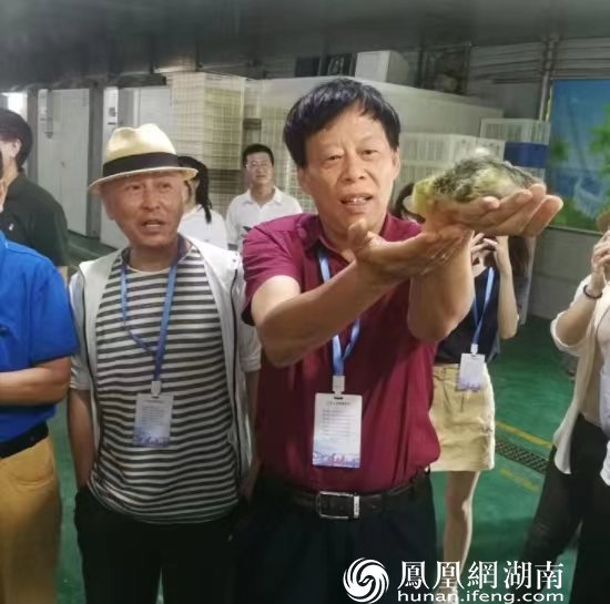 何立伟：潮汕人