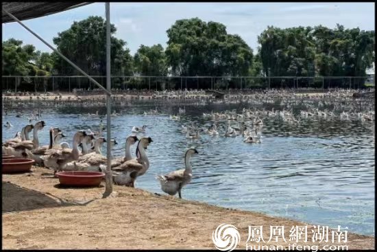 何立伟：潮汕人