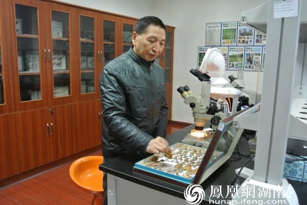 长沙县“最美森林医生”涂新华获评“中国网事·感动2022”三季度网络感动人物