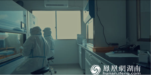 资阳区疾控中心实验室工作照（摄影：盛建楷）