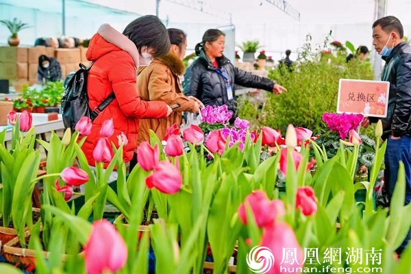 长沙春节近郊游的宝藏目的地 2023“花YOUNG莲花”新春花市“给你好看”