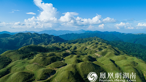 南山国家公园—东南热性灌丛草地生态系统