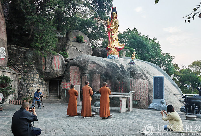 导师矩阵，大咖云集！2023“爱凤家族”相聚鹭岛，绽放无限才能