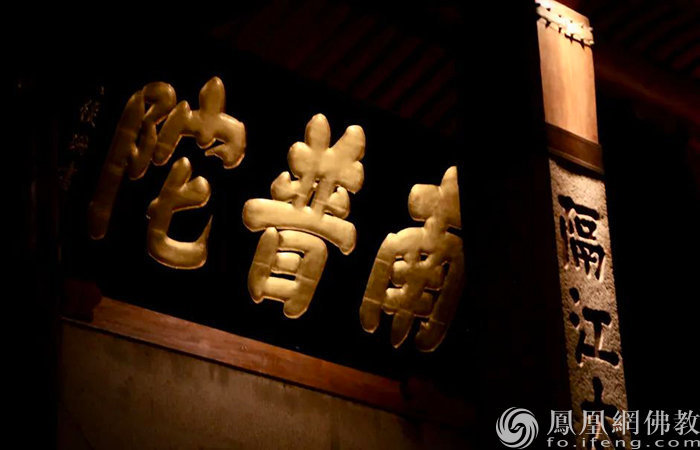 导师矩阵，大咖云集！2023“爱凤家族”相聚鹭岛，绽放无限才能