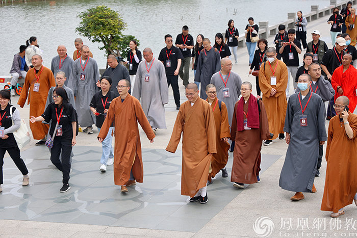 导师矩阵，大咖云集！2023“爱凤家族”相聚鹭岛，绽放无限才能