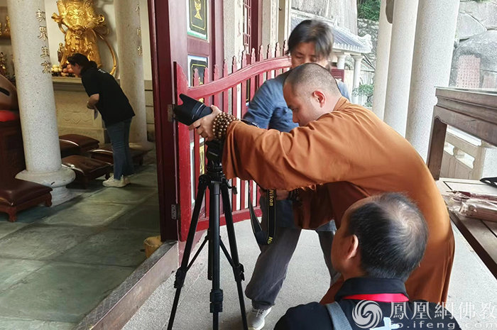 导师矩阵，大咖云集！2023“爱凤家族”相聚鹭岛，绽放无限才能