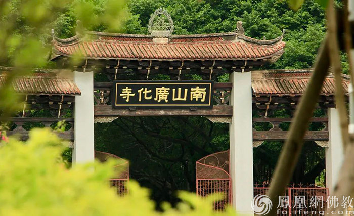 导师矩阵，大咖云集！2023“爱凤家族”相聚鹭岛，绽放无限才能