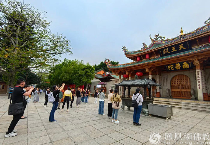 导师矩阵，大咖云集！2023“爱凤家族”相聚鹭岛，绽放无限才能