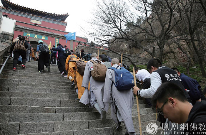 导师矩阵，大咖云集！2023“爱凤家族”相聚鹭岛，绽放无限才能