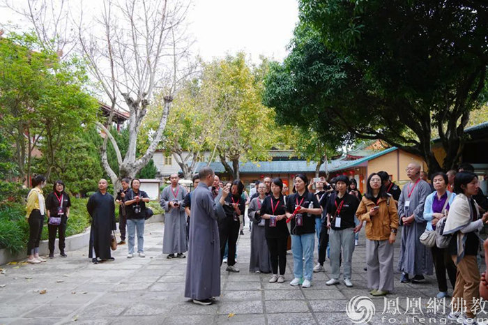 导师矩阵，大咖云集！2023“爱凤家族”相聚鹭岛，绽放无限才能