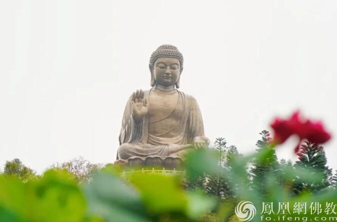 一日禅：叫醒自己_凤凰网