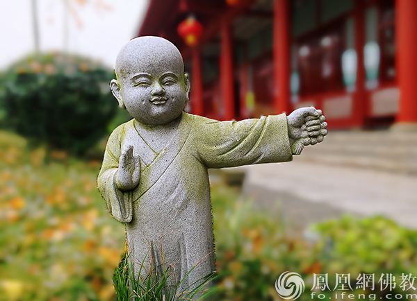 一日禅：生命_凤凰网