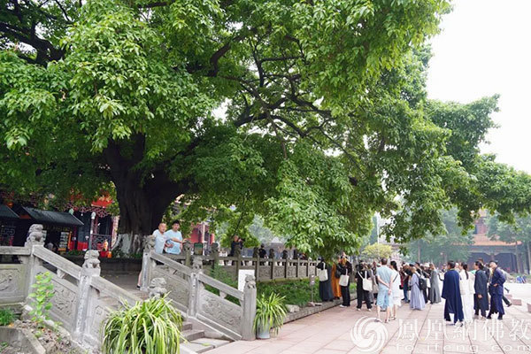 成都昭觉寺为何被日本“一休和尚”奉为祖庭？