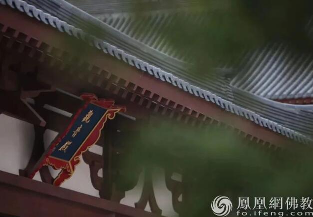 自媒体平台排行榜_新浪财经头条X新榜|TOP30榜单(9.01-9.30)(2)