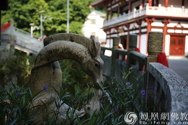 觉悟禅游：图说神秘传奇之地江门观音寺