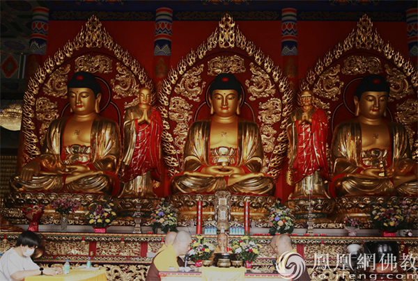 觉悟禅游：图说神秘传奇之地江门观音寺