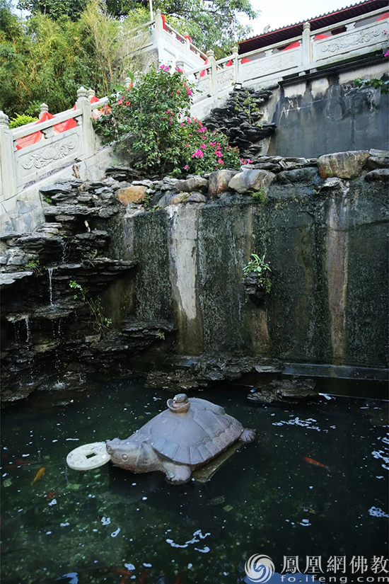 觉悟禅游：图说神秘传奇之地江门观音寺