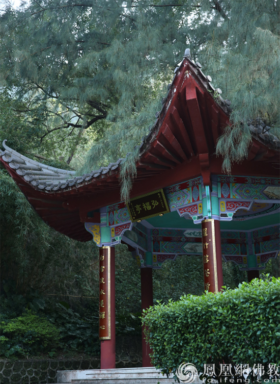 觉悟禅游：图说神秘传奇之地江门观音寺