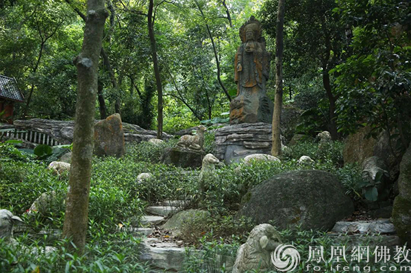 觉悟禅游：图说神秘传奇之地江门观音寺