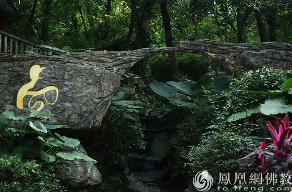 觉悟禅游：图说神秘传奇之地江门观音寺