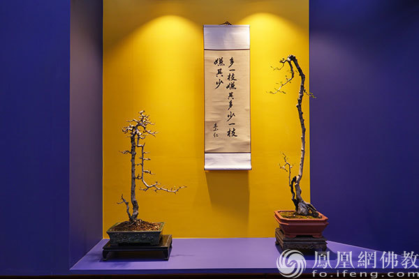 室内展区