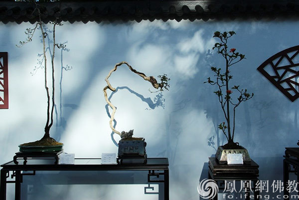 室外展区