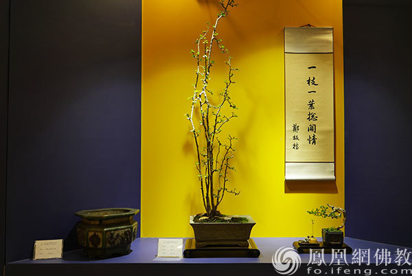 室内展区