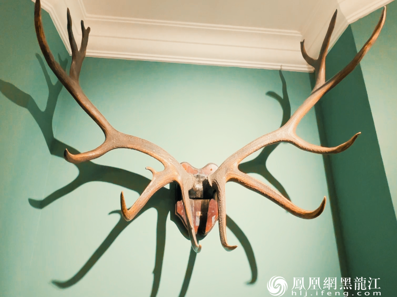 哈尔滨：中央大街火了 秋林那？