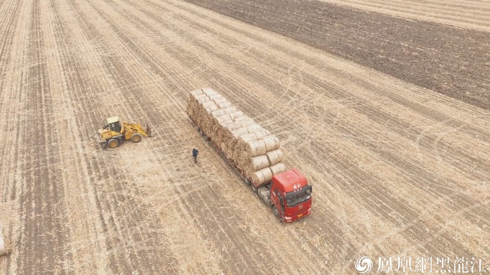 鸡西：秸秆综合利用产业链 助力绿色低碳生态链