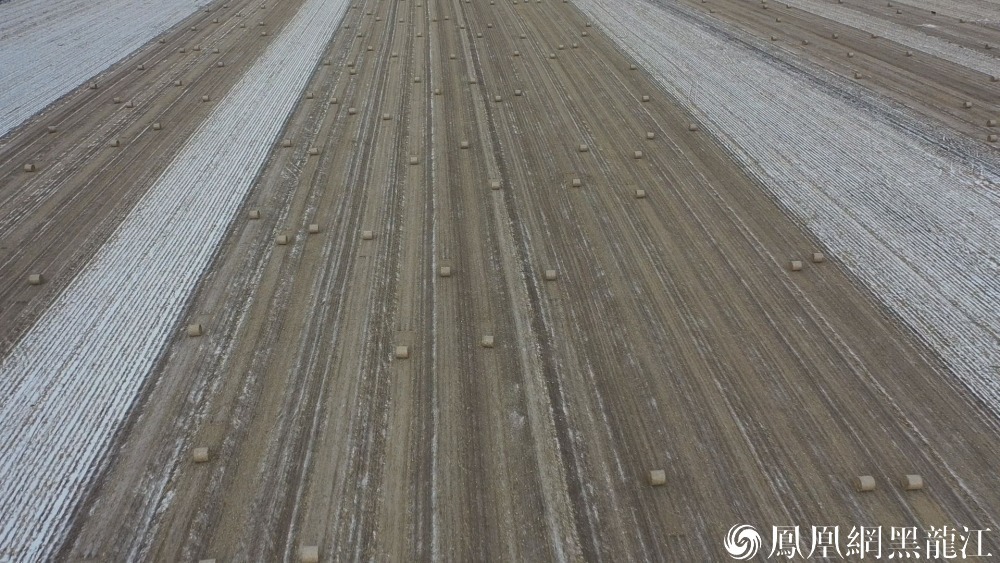 鸡西：秸秆综合利用产业链 助力绿色低碳生态链