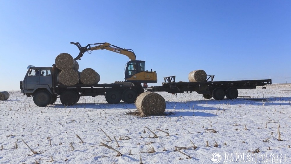 鸡西：秸秆综合利用产业链 助力绿色低碳生态链