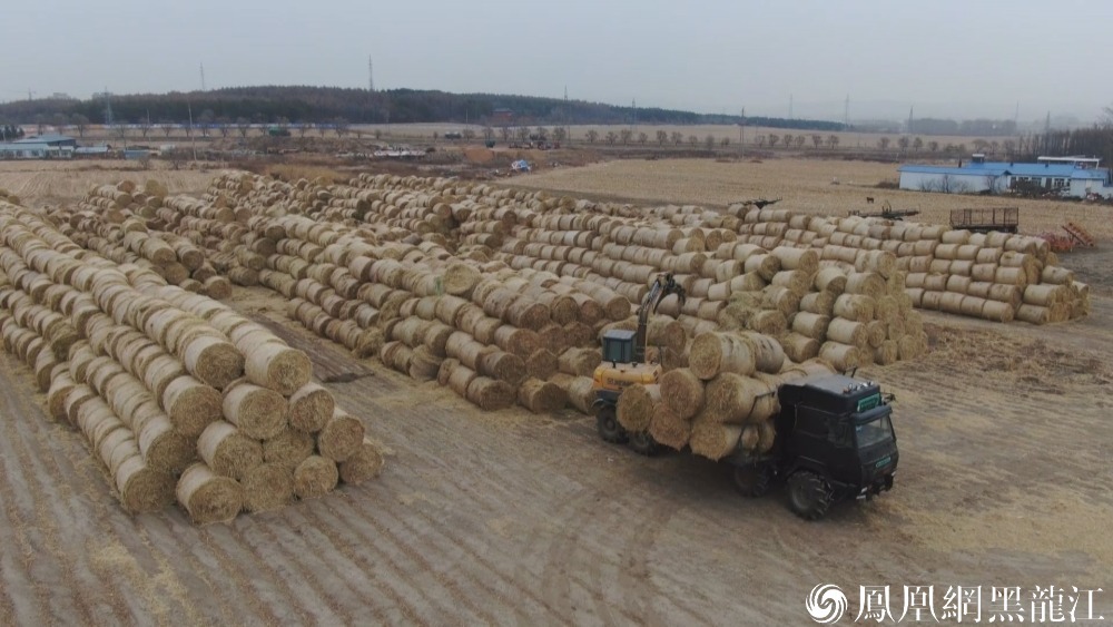 鸡西：秸秆综合利用产业链 助力绿色低碳生态链