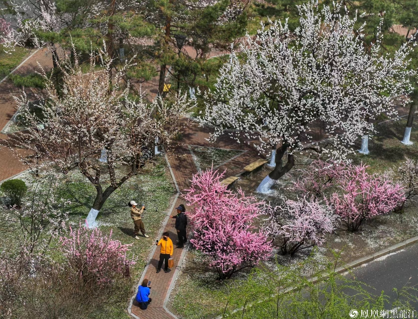 和你一起杏花游——2024佳木斯杏花游主题文化活动如约而至