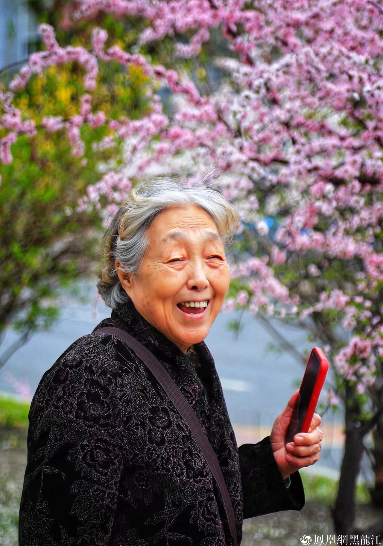 和你一起杏花游——2024佳木斯杏花游主题文化活动如约而至