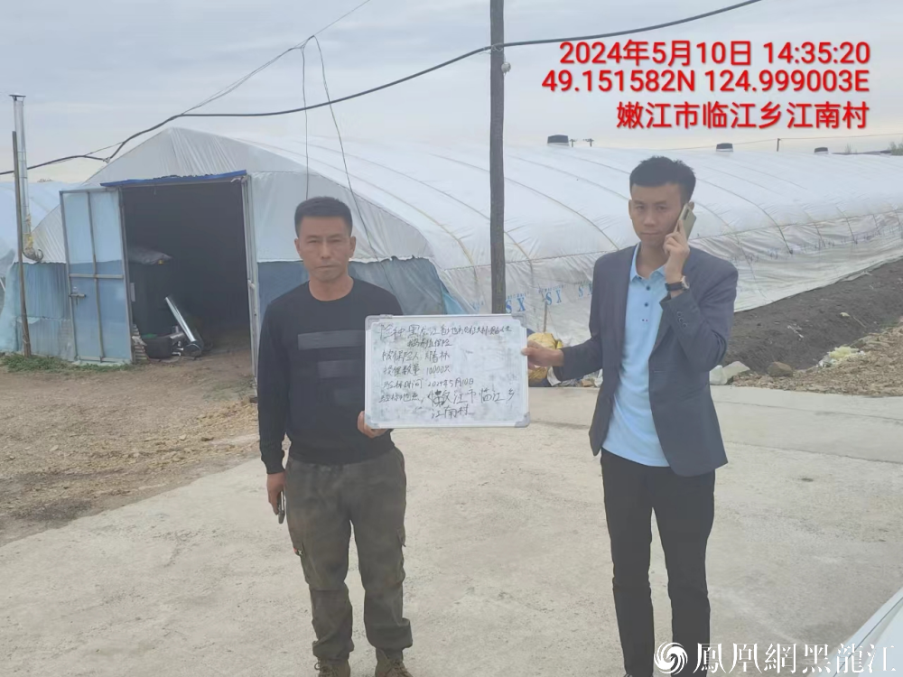 为大鹅产业发展保驾护航 | 黑龙江省首单地方政策性大鹅养殖保险落地嫩江市