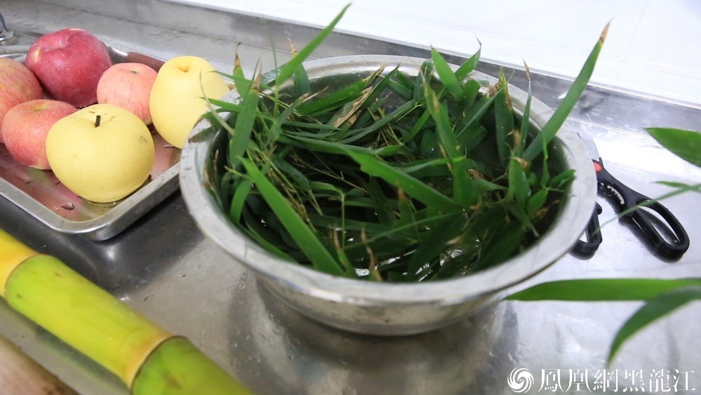 打卡中国最北熊猫馆.与思嘉佑佑“粽”享端午