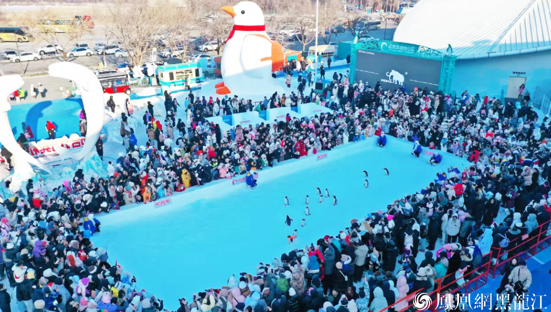 喜讯!黑龙江文旅荣获第24届IAI传鉴国际广告奖6金1银