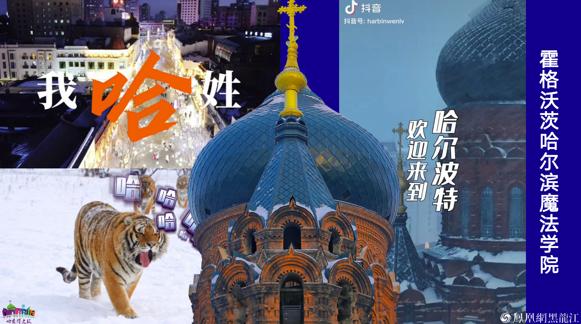 喜讯!黑龙江文旅荣获第24届IAI传鉴国际广告奖6金1银