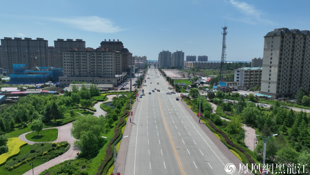 虎林:百亩花海即将绽放